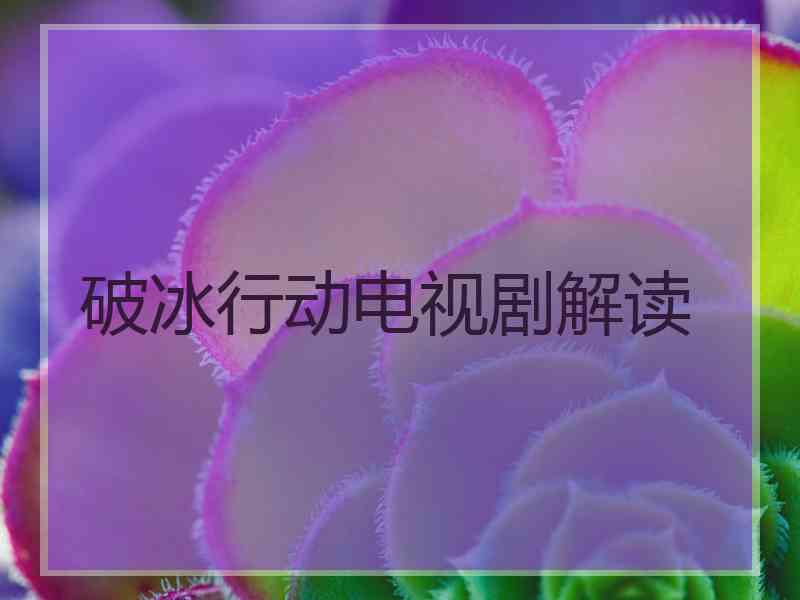 破冰行动电视剧解读