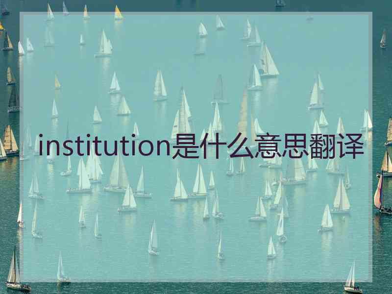 institution是什么意思翻译
