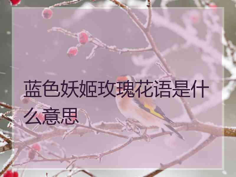 蓝色妖姬玫瑰花语是什么意思