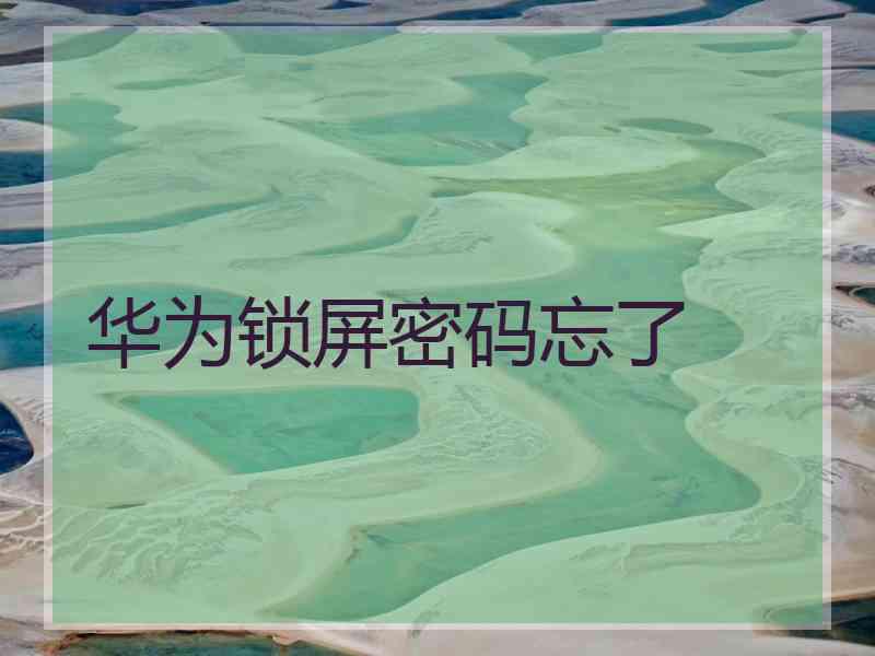 华为锁屏密码忘了
