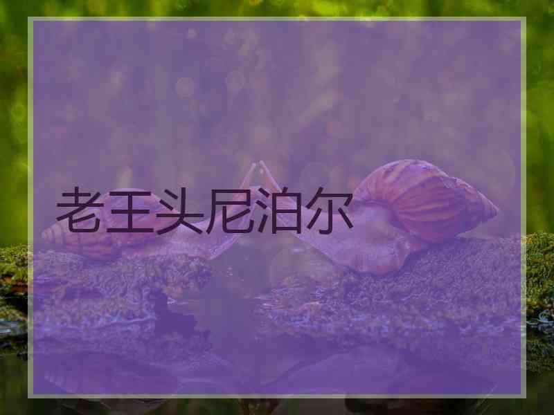 老王头尼泊尔