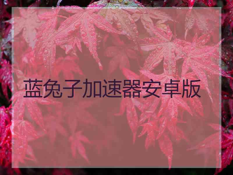蓝兔子加速器安卓版