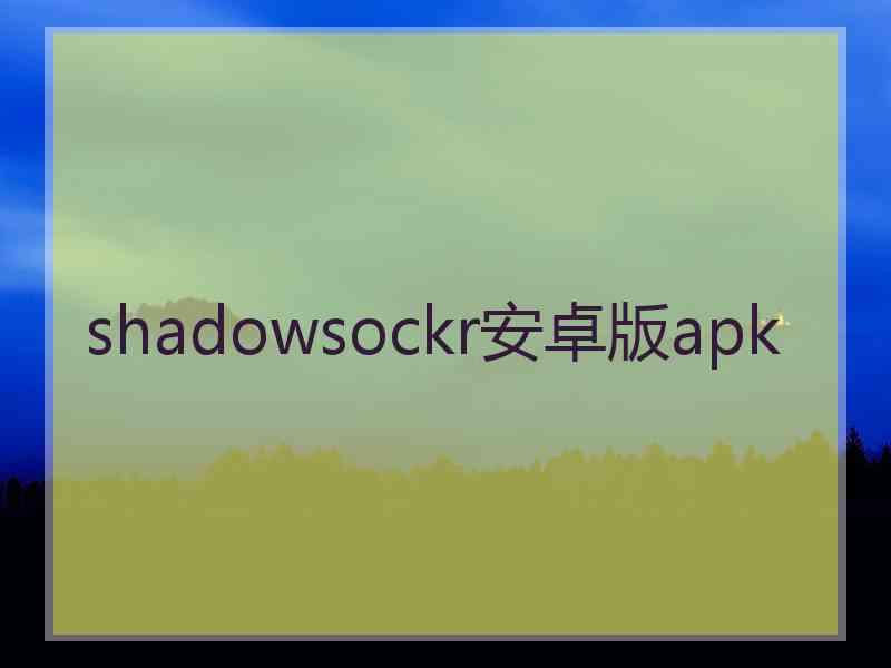 shadowsockr安卓版apk