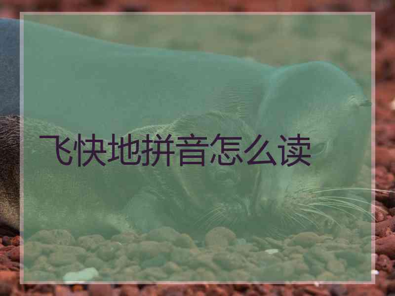 飞快地拼音怎么读