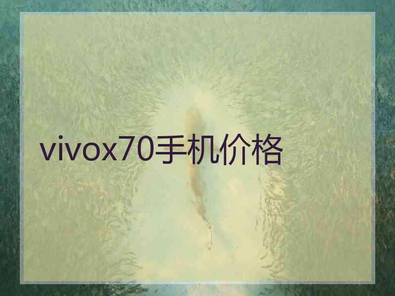 vivox70手机价格