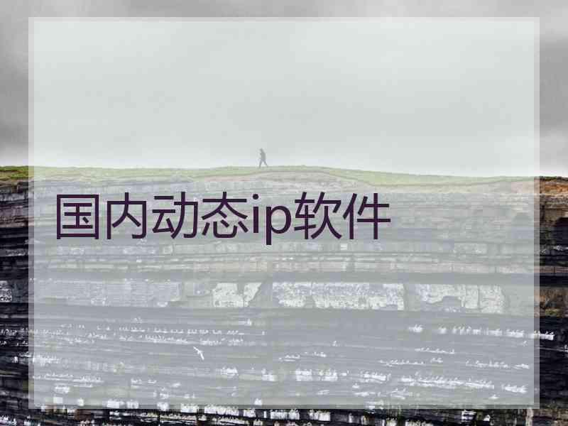 国内动态ip软件