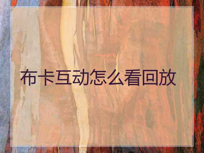 布卡互动怎么看回放
