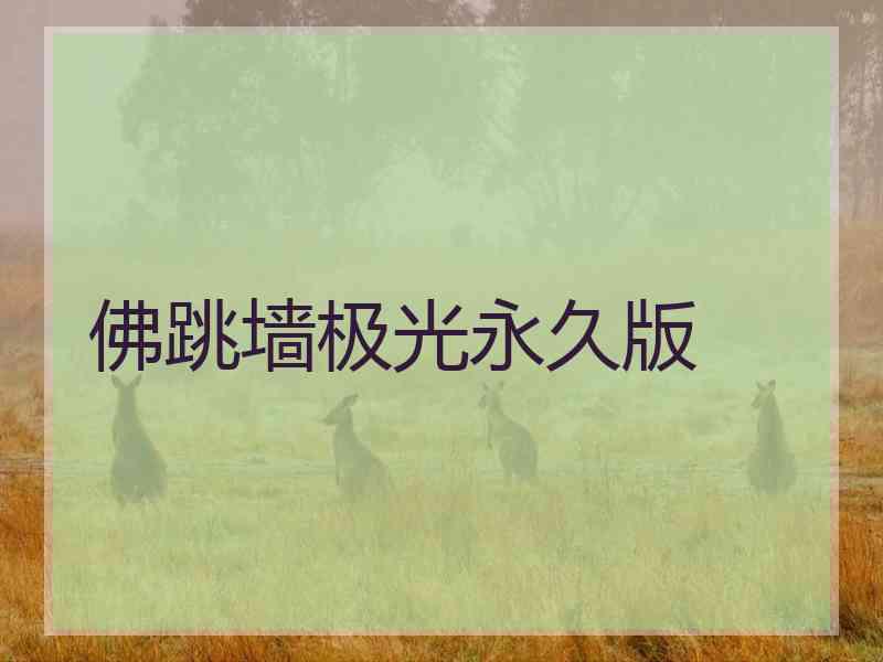 佛跳墙极光永久版