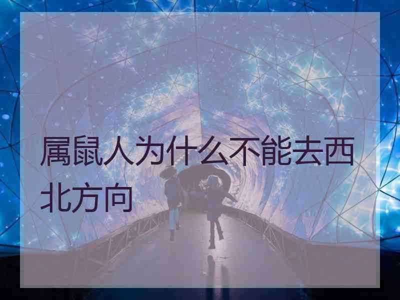 属鼠人为什么不能去西北方向