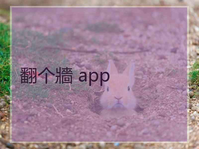 翻个牆 app