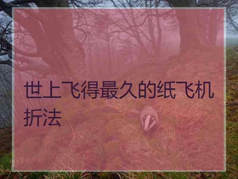世上飞得最久的纸飞机折法