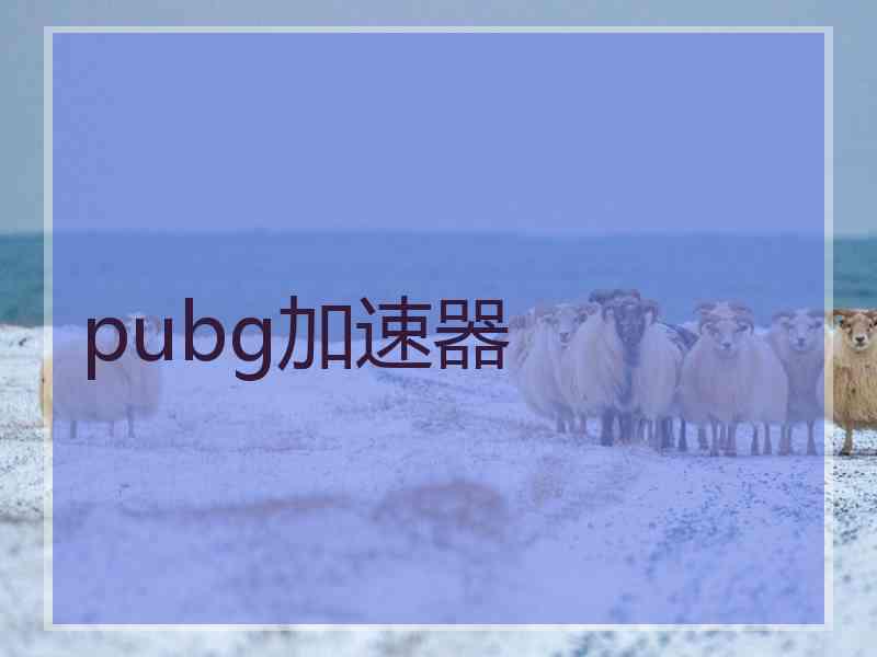 pubg加速器
