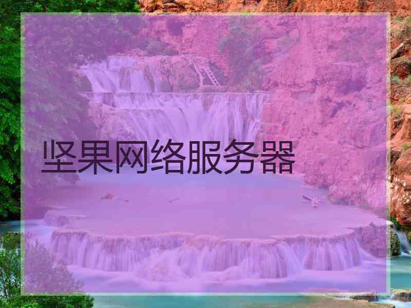 坚果网络服务器