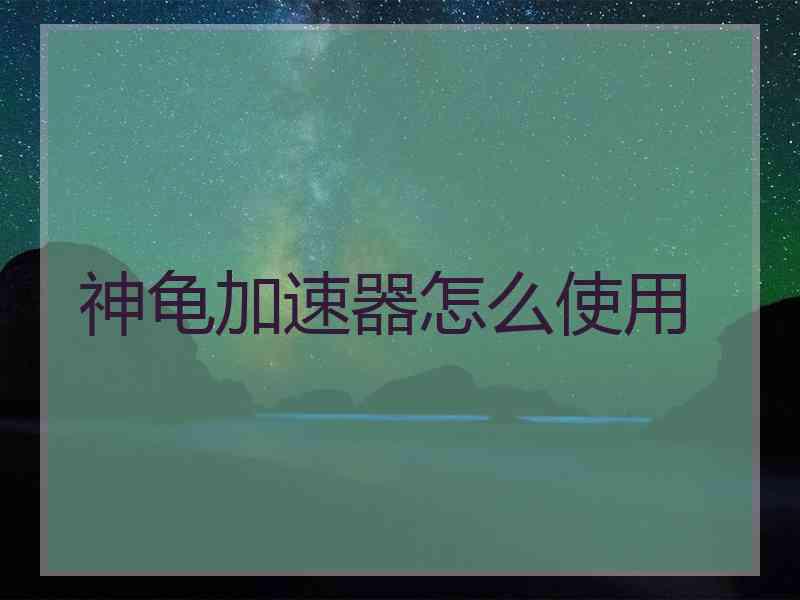 神龟加速器怎么使用