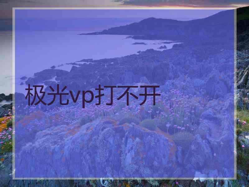 极光vp打不开