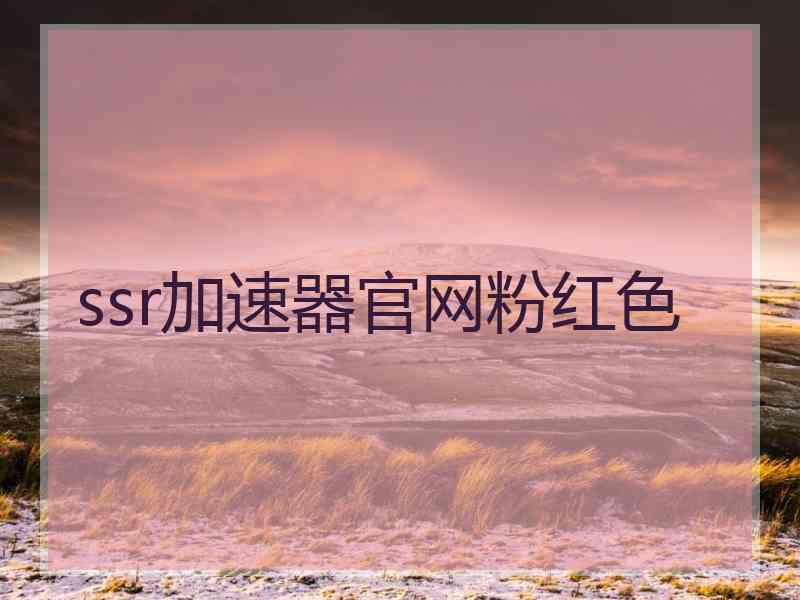 ssr加速器官网粉红色