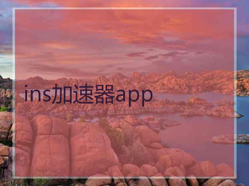 ins加速器app
