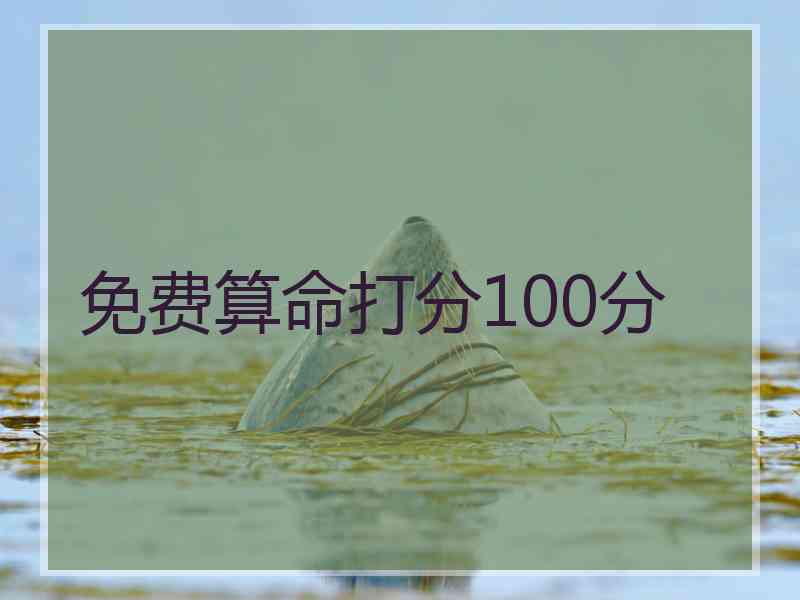 免费算命打分100分