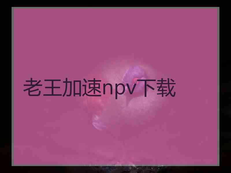 老王加速npv下载