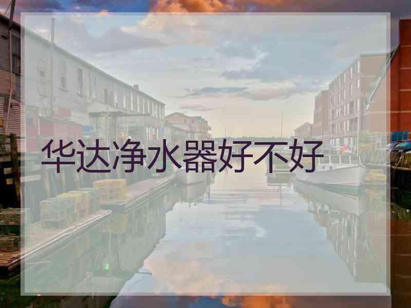 华达净水器好不好