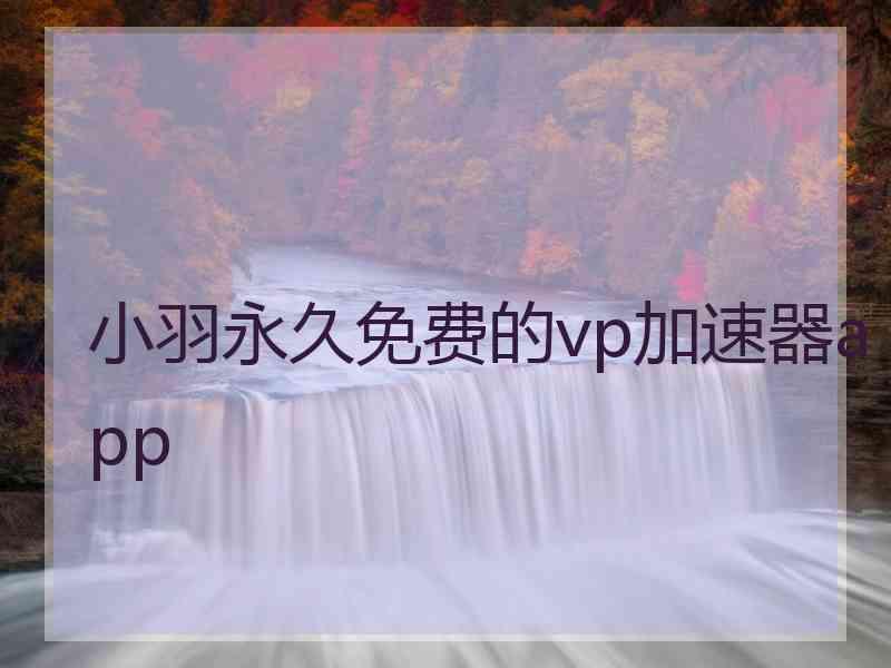 小羽永久免费的vp加速器app