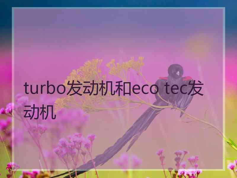 turbo发动机和eco tec发动机
