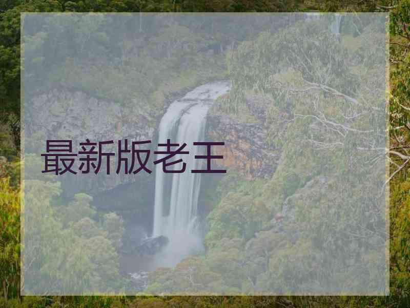 最新版老王