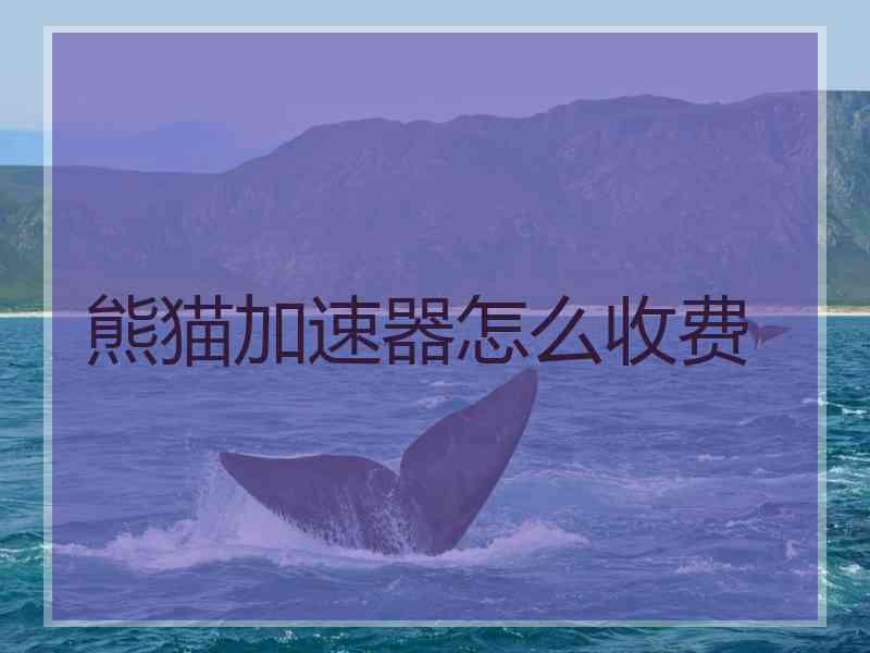 熊猫加速器怎么收费