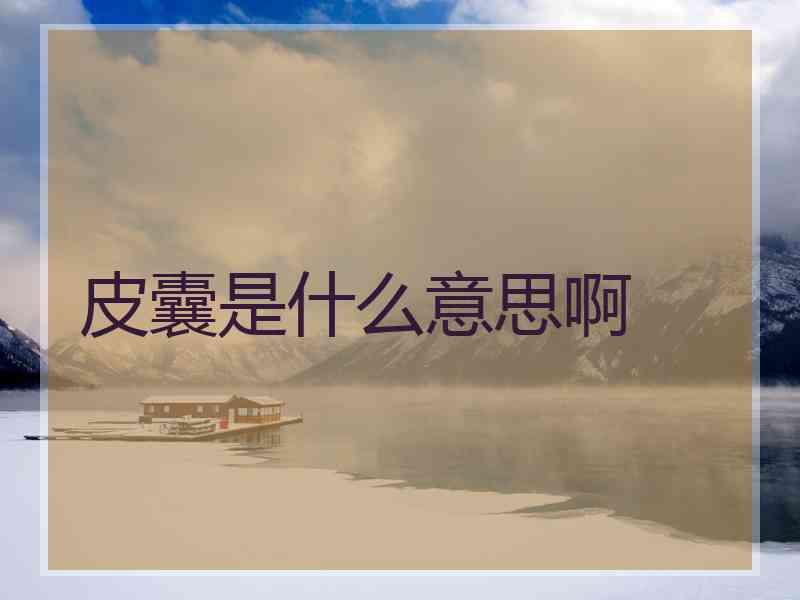 皮囊是什么意思啊