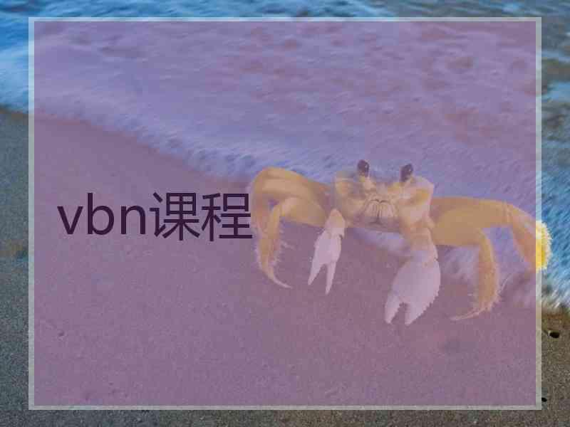 vbn课程