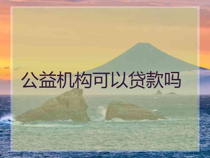 公益机构可以贷款吗