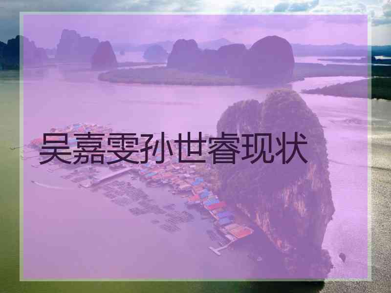 吴嘉雯孙世睿现状