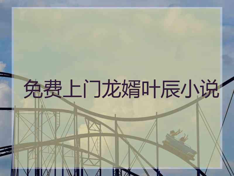 免费上门龙婿叶辰小说