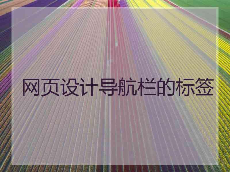 网页设计导航栏的标签