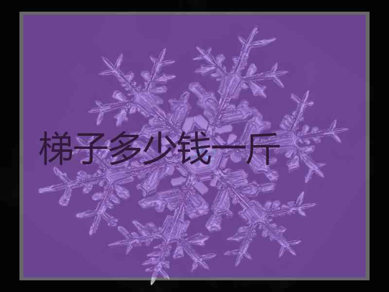 梯子多少钱一斤