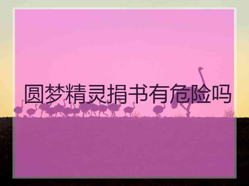 圆梦精灵捐书有危险吗