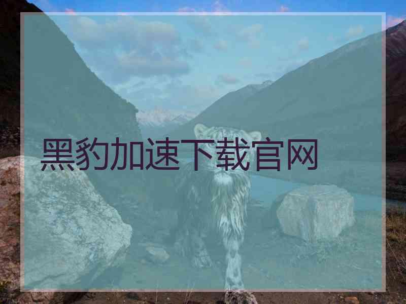 黑豹加速下载官网