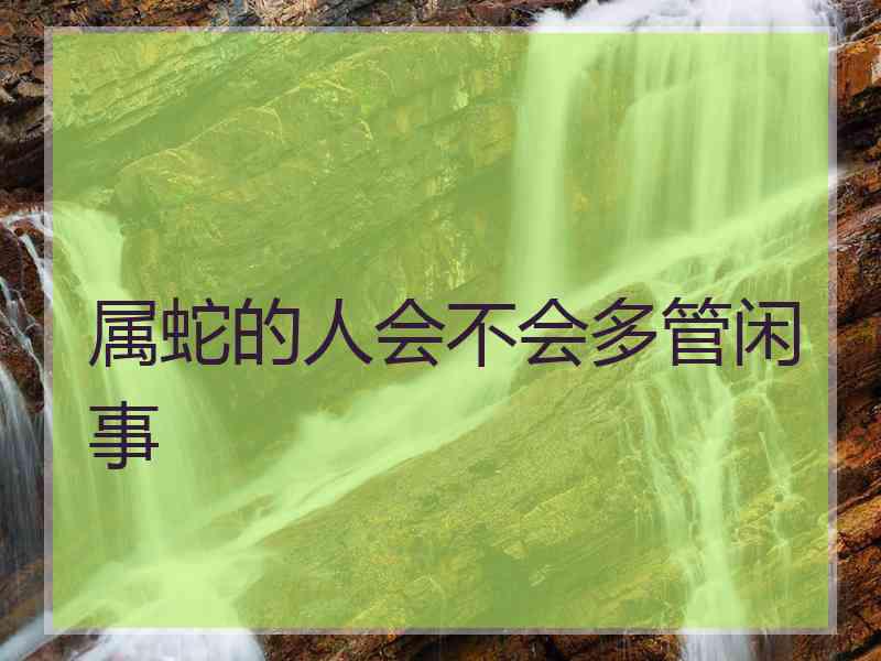 属蛇的人会不会多管闲事