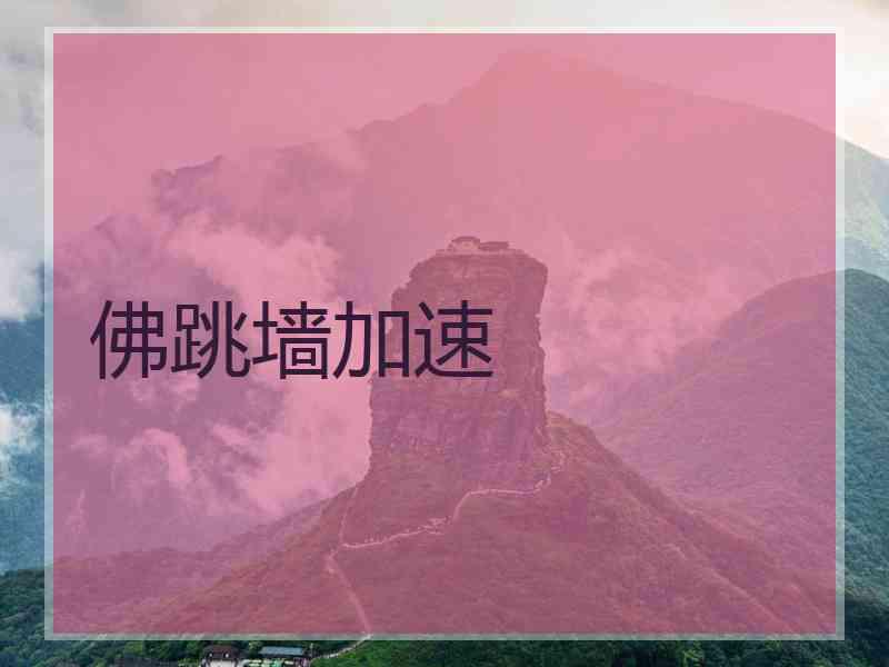 佛跳墙加速