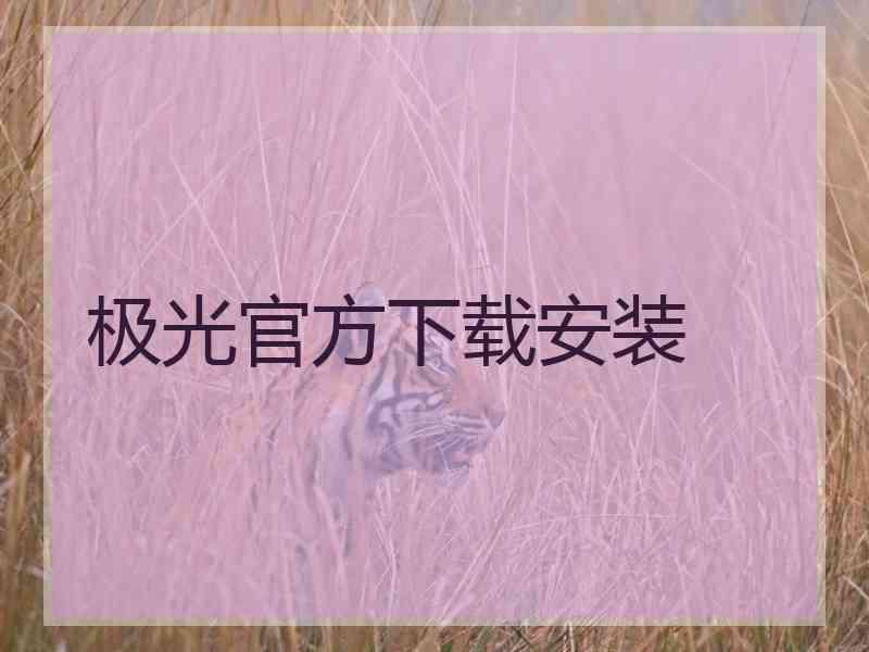 极光官方下载安装