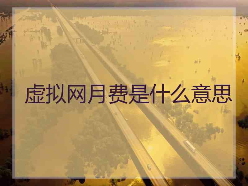 虚拟网月费是什么意思