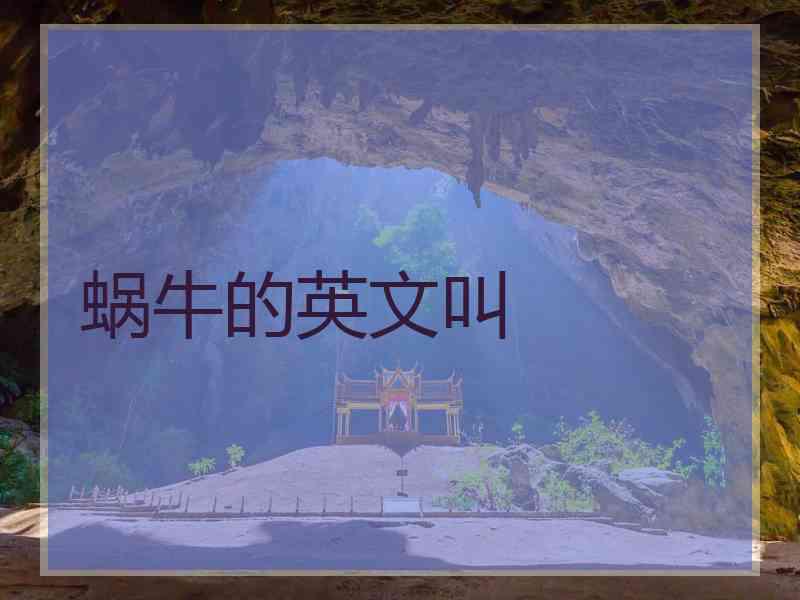 蜗牛的英文叫