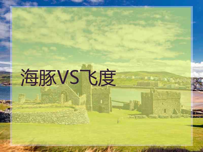 海豚VS飞度