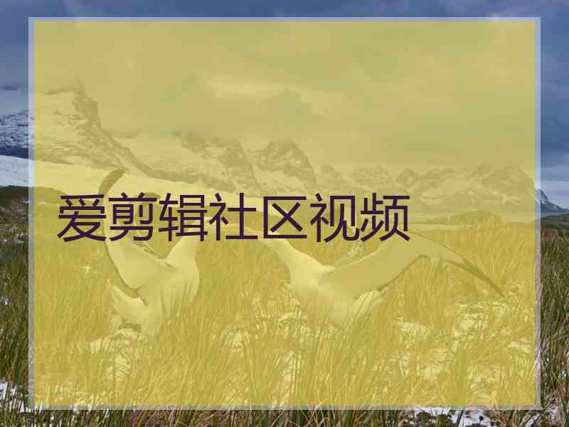 爱剪辑社区视频