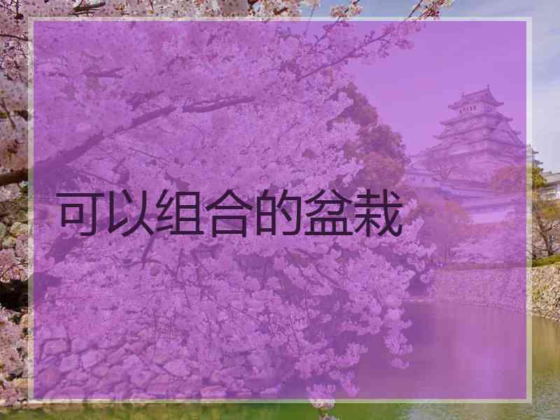 可以组合的盆栽