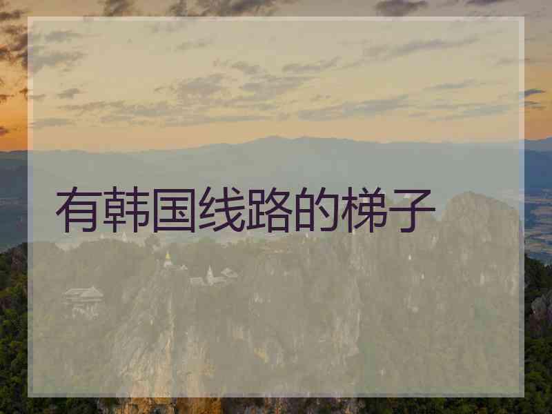 有韩国线路的梯子