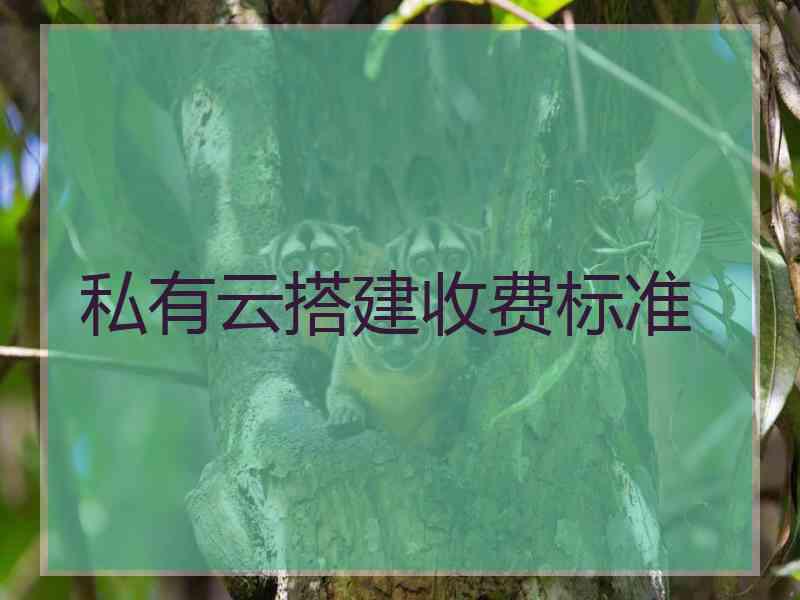 私有云搭建收费标准