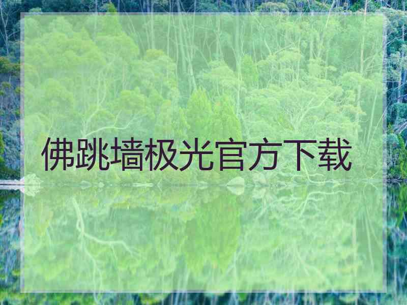 佛跳墙极光官方下载