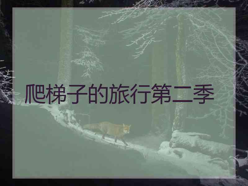 爬梯子的旅行第二季