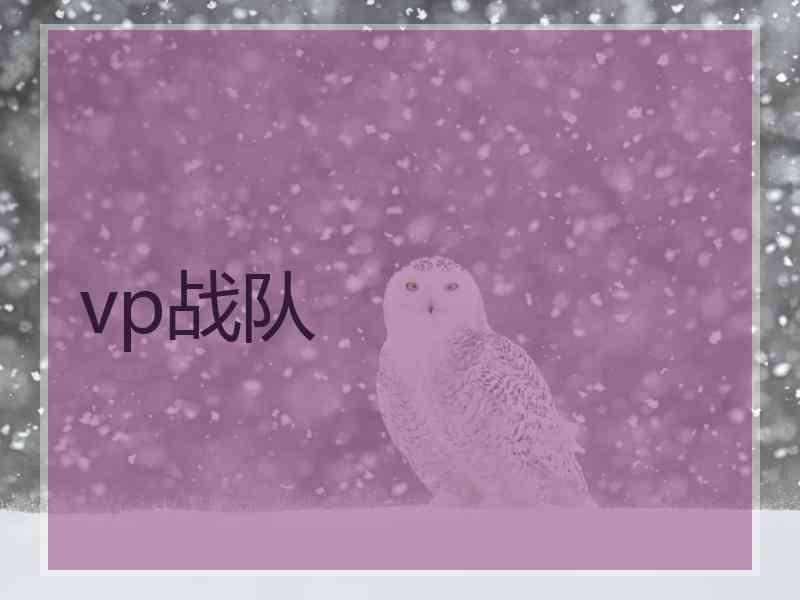 vp战队